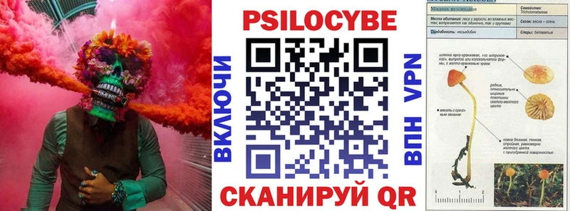 цены   Красногорск  Галлюциногенные грибы MAGIC MUSHROOMS 